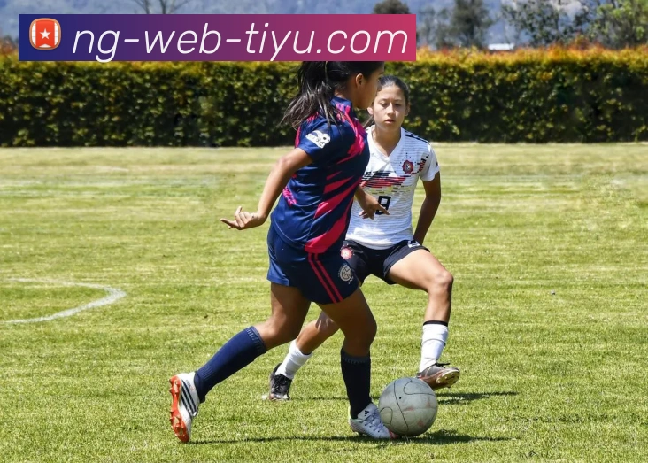 南宫体育APP 封面图